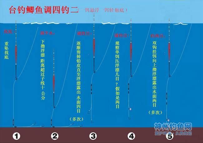 夜晚钓鱼视频教学-第1张图片-彩蝶百科