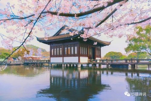 描写垂钓的句子唯美-第1张图片-彩蝶百科
