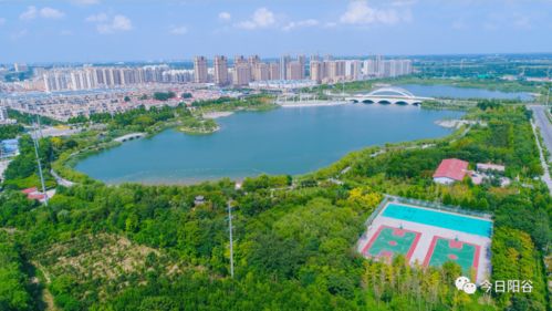 1.项目概述-第1张图片-彩蝶百科