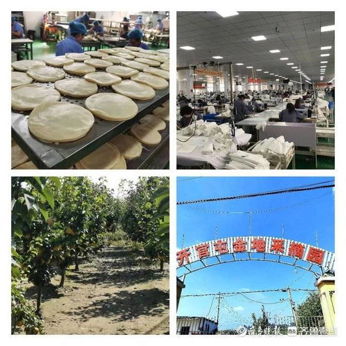 垂钓文化的传承-第1张图片-彩蝶百科