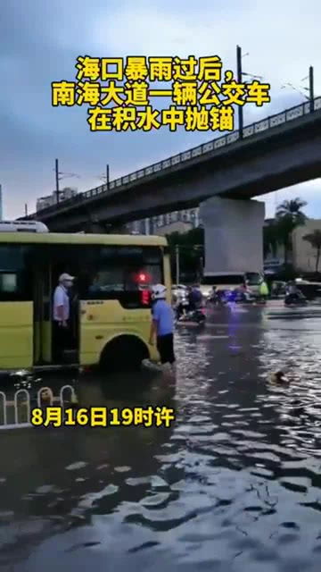 海口公交车怎么刷手机-第1张图片-彩蝶百科