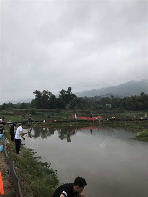 岗位名称：-第1张图片-彩蝶百科