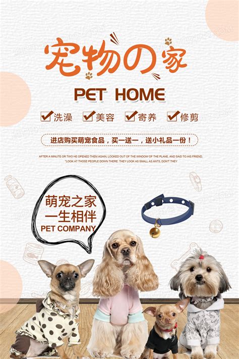 大连宠物市场-第1张图片-彩蝶百科 大连宠物市场-第1张图片-彩蝶百科
