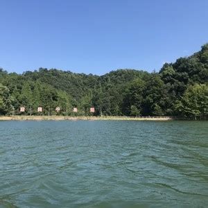 千岛湖垂钓大头鱼视频播放-第1张图片-彩蝶百科 千岛湖垂钓大头鱼视频播放-第1张图片-彩蝶百科