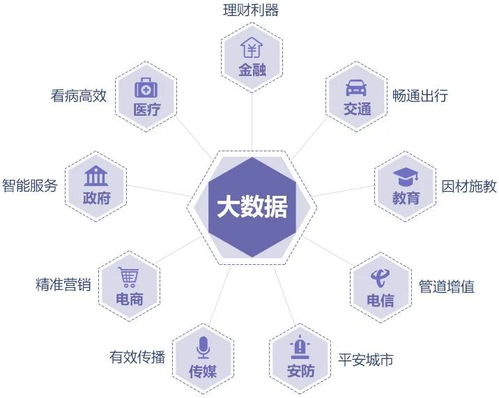 阿里大数据是什么意思-第1张图片-彩蝶百科