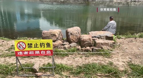 请勿垂钓的英文-第1张图片-彩蝶百科