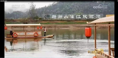 郭村鱼庄垂钓中心-第1张图片-彩蝶百科