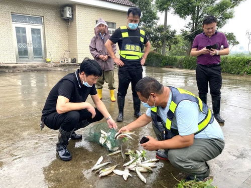 法律法规建设-第1张图片-彩蝶百科
