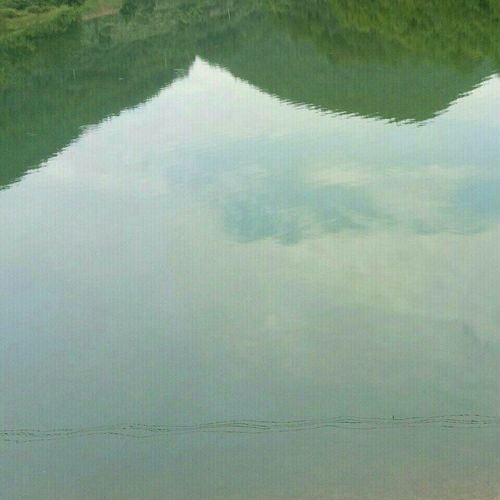 重庆哪儿可以钓鱼-第1张图片-彩蝶百科