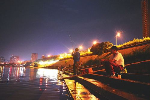 夜晚江边垂钓视频大全-第1张图片-彩蝶百科