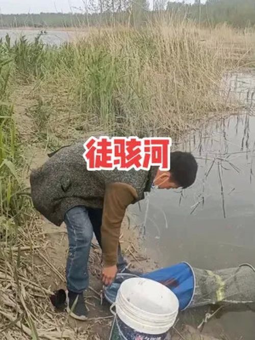 快乐垂钓高手在民间视频-第1张图片-彩蝶百科 快乐垂钓高手在民间视频-第1张图片-彩蝶百科