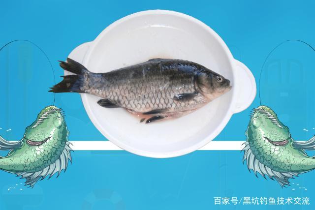 垂钓池回锅鱼咋精养-第1张图片-彩蝶百科