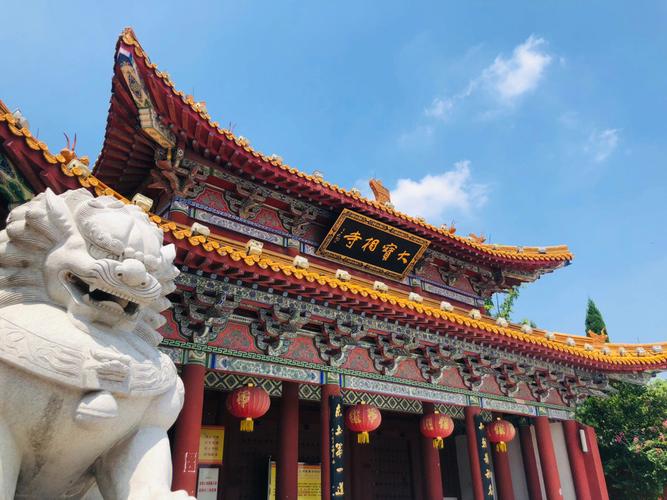 汶上野钓-第1张图片-彩蝶百科 汶上野钓-第1张图片-彩蝶百科