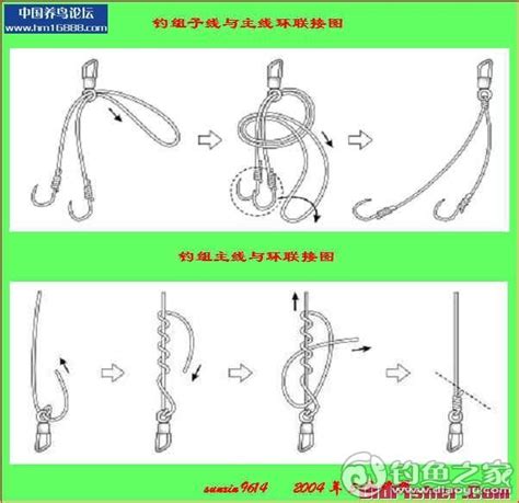《钓鱼视频》各种鱼钩绑法视频-第1张图片-彩蝶百科 《钓鱼视频》各种鱼钩绑法视频-第1张图片-彩蝶百科