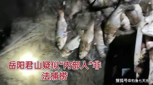 垂钓的意义是什么-第1张图片-彩蝶百科 垂钓的意义是什么-第1张图片-彩蝶百科