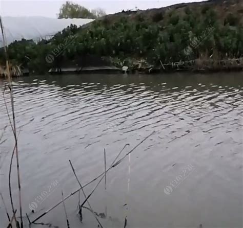 1.西湖-第1张图片-彩蝶百科 1.西湖-第1张图片-彩蝶百科