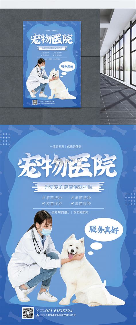 宠物医院有441吗-第1张图片-彩蝶百科 宠物医院有441吗-第1张图片-彩蝶百科