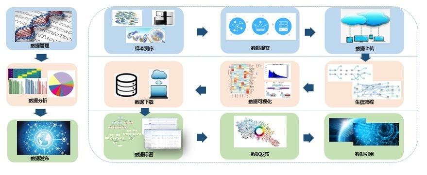 大数据应用案例分析ppt-第1张图片-彩蝶百科
