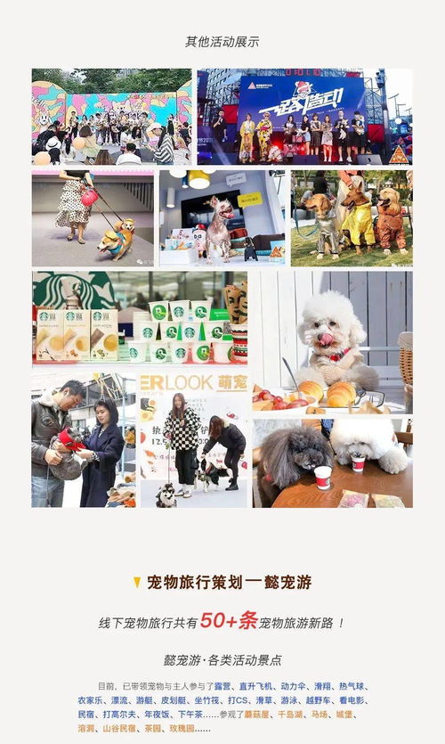 宠物活动策划方案-第1张图片-彩蝶百科 宠物活动策划方案-第1张图片-彩蝶百科