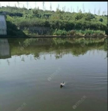 内江钓鱼规定-第1张图片-彩蝶百科