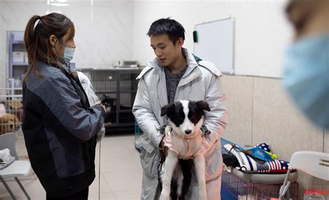 1.课程设置-第1张图片-彩蝶百科