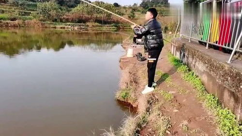 汤河钓鱼-第1张图片-彩蝶百科