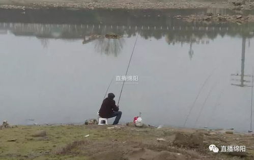 松江区禁渔期-第1张图片-彩蝶百科 松江区禁渔期-第1张图片-彩蝶百科