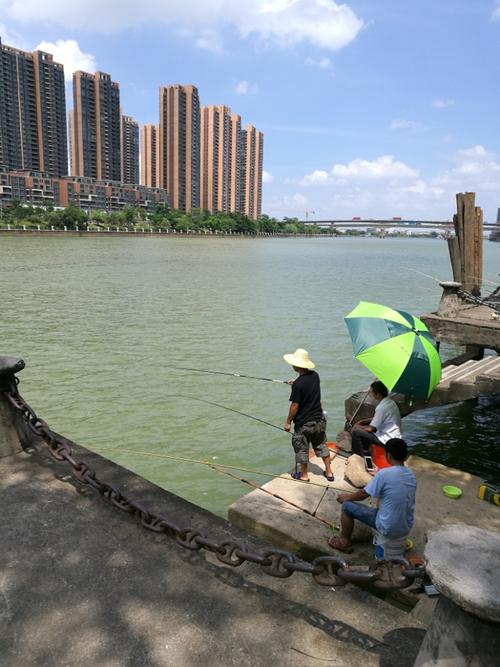 1.选择安全地点-第1张图片-彩蝶百科