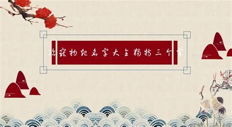 叠字宠物名字大全-第1张图片-彩蝶百科 叠字宠物名字大全-第1张图片-彩蝶百科