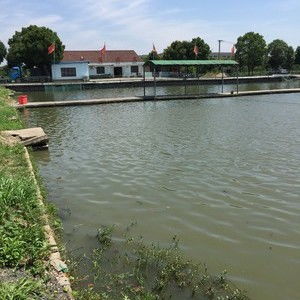 濠河国际垂钓中心-第1张图片-彩蝶百科