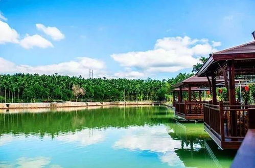 信阳垂钓休闲山庄-第1张图片-彩蝶百科 信阳垂钓休闲山庄-第1张图片-彩蝶百科