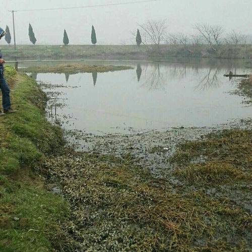 1.石臼湖-第1张图片-彩蝶百科