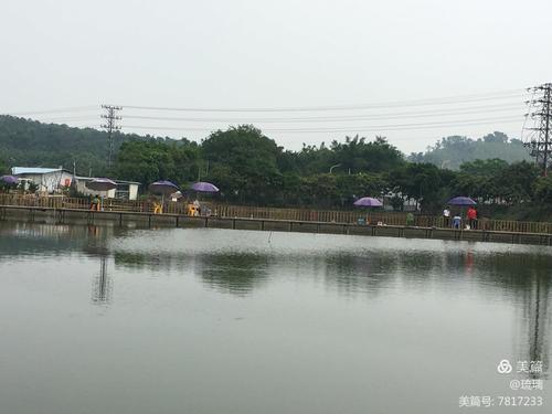 休闲垂钓农庄-第1张图片-彩蝶百科