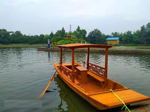 龙游钓点-第1张图片-彩蝶百科