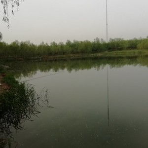 wincc取消激活时卡住了怎么办-第1张图片-彩蝶百科