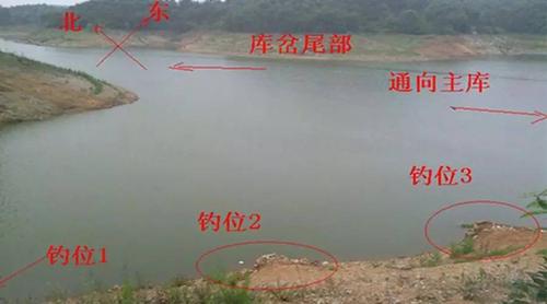 黄陂垂钓位置推荐-第1张图片-彩蝶百科