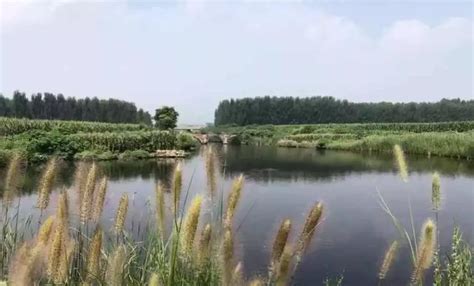 丽江哪里钓鱼-第1张图片-彩蝶百科 丽江哪里钓鱼-第1张图片-彩蝶百科