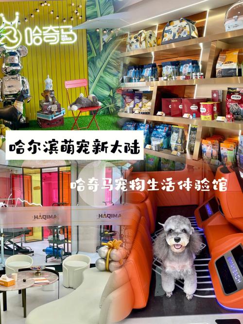 哈尔滨宠物市场搬到哪里了-第1张图片-彩蝶百科 哈尔滨宠物市场搬到哪里了-第1张图片-彩蝶百科