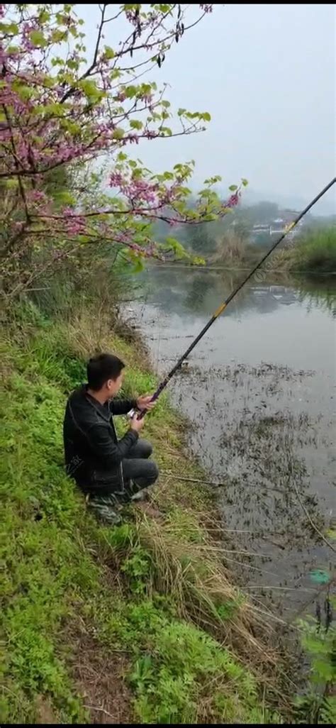 平谷住宿垂钓-第1张图片-彩蝶百科