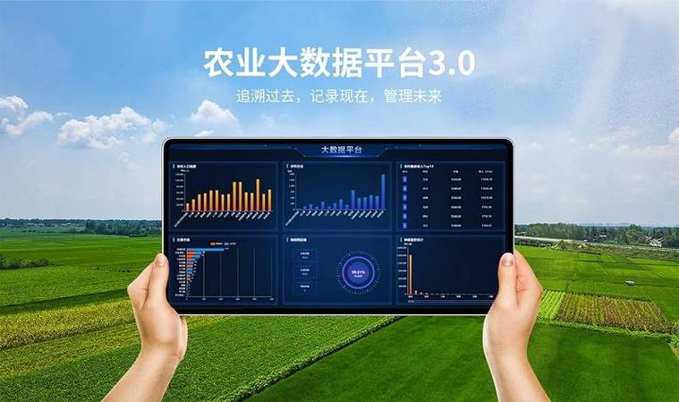农业大数据：创新农业生产的未来-第1张图片-彩蝶百科
