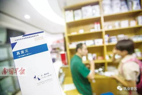 给宠物看病需要什么证件-第1张图片-彩蝶百科 给宠物看病需要什么证件-第1张图片-彩蝶百科