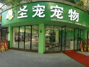 重庆宠物店招聘-第1张图片-彩蝶百科