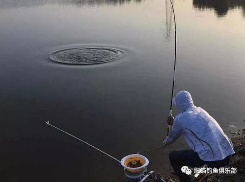 风向和垂钓的区别-第1张图片-彩蝶百科