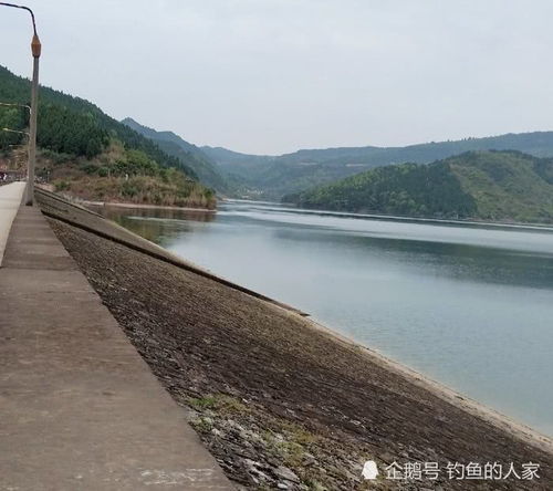 晚上水库钓不到鲤鱼-第1张图片-彩蝶百科
