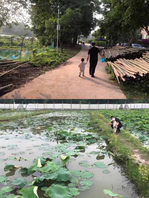 南京适合垂钓的地方-第1张图片-彩蝶百科