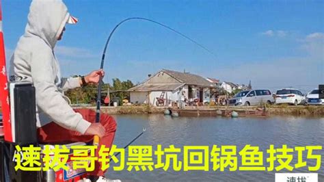 徐州钓鲢鳙地点-第1张图片-彩蝶百科 徐州钓鲢鳙地点-第1张图片-彩蝶百科