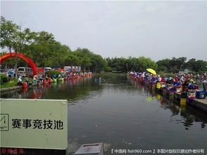 蚌埠市垂钓俱乐部-第1张图片-彩蝶百科