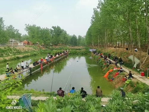圭峰山垂钓园在哪里-第1张图片-彩蝶百科