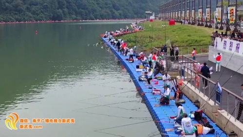 浙东垂钓基地-第1张图片-彩蝶百科 浙东垂钓基地-第1张图片-彩蝶百科