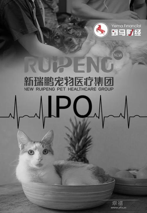 全国哪里的宠物医院最好-第1张图片-彩蝶百科 全国哪里的宠物医院最好-第1张图片-彩蝶百科